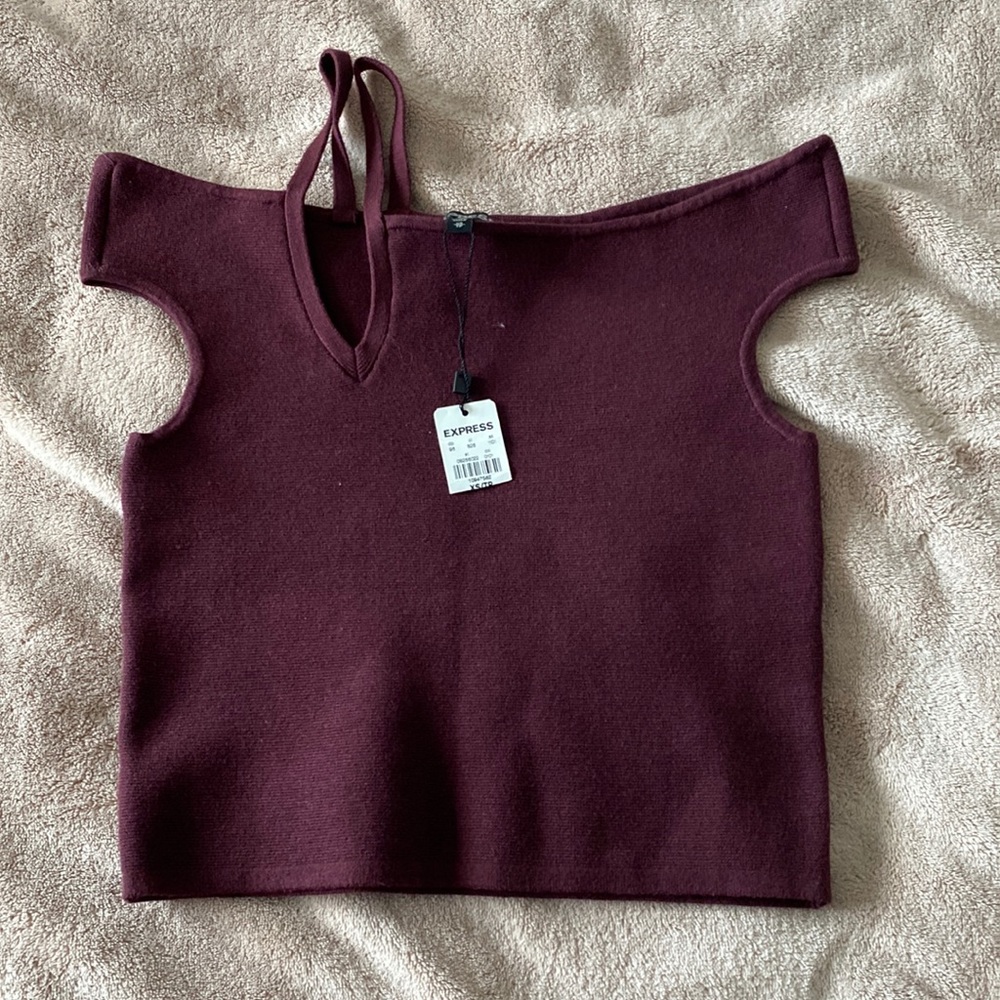 Brand new, never worn, unique express top